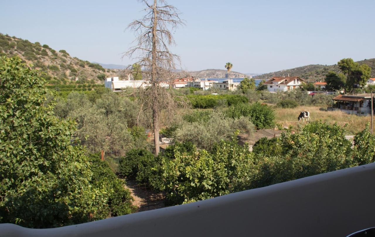 Vila Vivari Exterior photo
